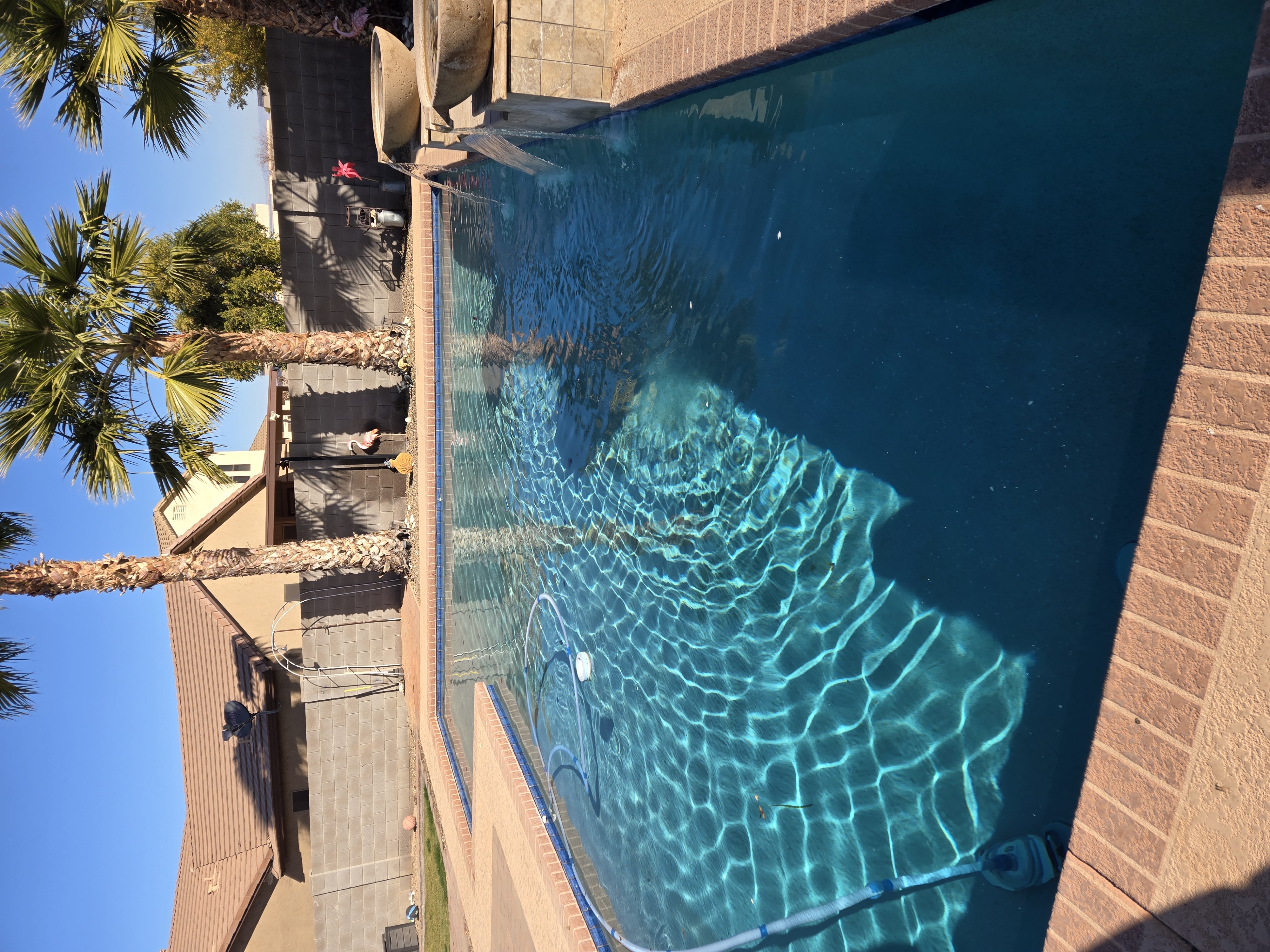 Pool service Queen Creek