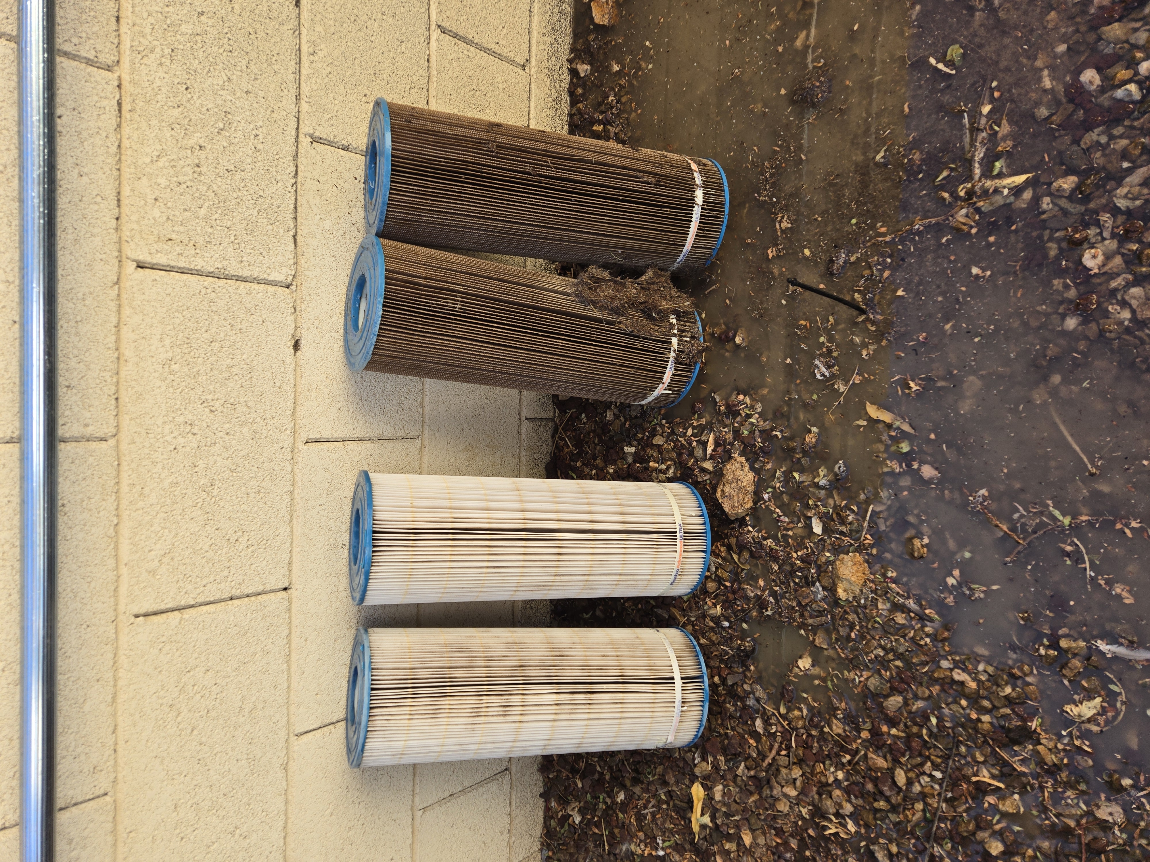 Pool maintenance East Valley
